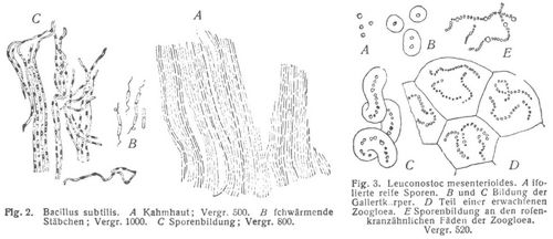 Fig. 2., Fig. 3.
