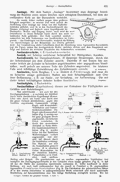 Lueger-1904 Bd. 01 S. 401