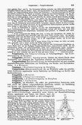 Lueger-1904 Bd. 03 S. 601