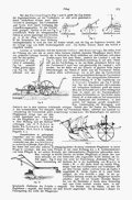 Lueger-1904 Bd. 07 S. 101