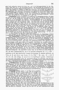 Lueger-1904 Bd. 07 S. 701