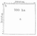 Fig. 4. Arrondiertes quadratisches Landgut.