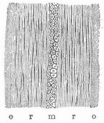 Fig. 1. Durchschnitt des Haares, stark vergr��ert. o Oberh�utchen, r Rinde, m Mark.
