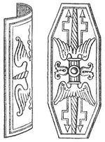Fig. 3. Scutum.