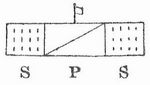 Fig. 2. S Sch�tzen, P Pikeniere.