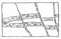 Fig. 1. Gabelung und Verwerfung von Gangspalten.