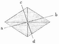 Fig. 11. Gipsbl�ttchen.