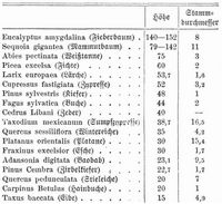 Tabelle
