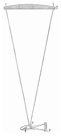 Fig. 13. Medial.