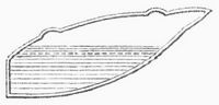 Fig. 1. Ring der Sinumbralampe.