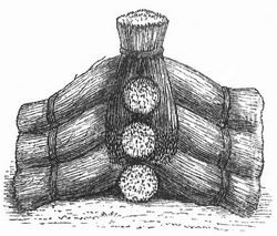 Fig. 3. Getreidekreuz.