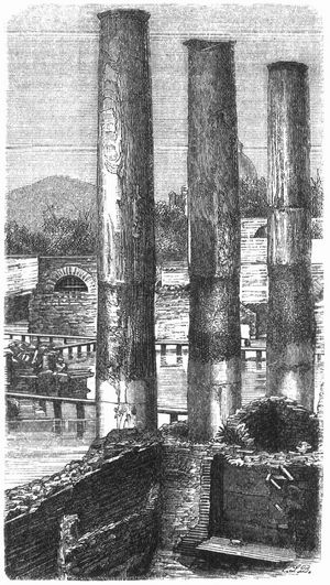 Fig. 1. S�ulen des Serapistempels bei Pozzuoli mit den Spuren der Bohrmuscheln.