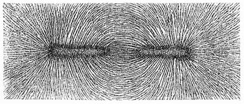 Fig. 1. Kraftlinien an den Polen eines Hufeisenmagnets.