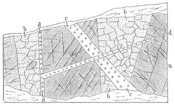Fig. 4. Profil am Fu�e von F�rsteneck bei Passau.