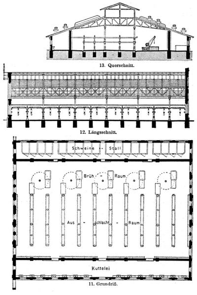 1113. Schlachthalle f�r Schweine.
