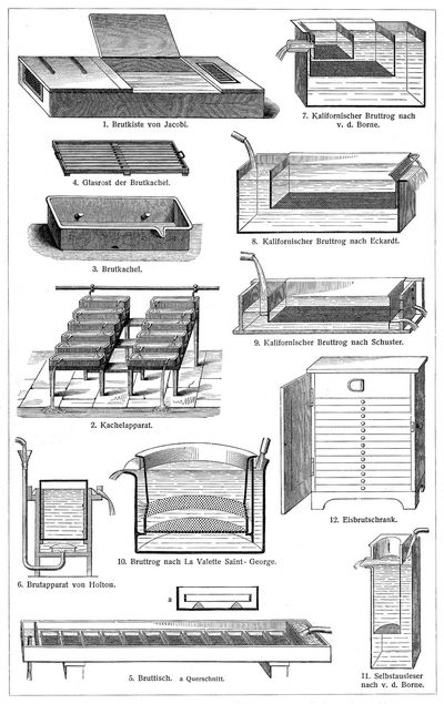 K�nstliche Fischzucht II. (Brutapparate.)