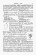 Meyers-1905-Bd-06 S. 701