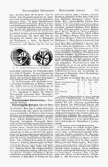 Meyers-1905-Bd-13 S. 701
