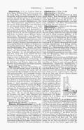 Meyers-1905-Bd-17 S. 901