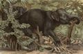 Indischer Elefant.