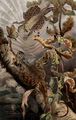 Flugdrache.