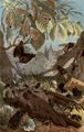 Wirkungen vereinter Kr�fte. (Todtengr�ber, Raupe der Ahornpfeilmotte, Hornisse, Rossk�fer.)
