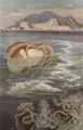 Papier-Nautilus.