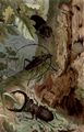 Hirschk�fer und Heldbock.