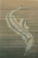 Pterotrachea.