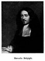 Marcello Malpighi