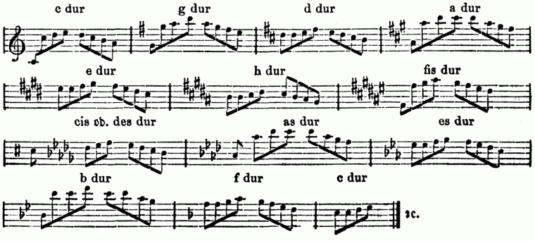 Zirkel [1]