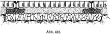 Abb. 416.