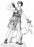 Fig. 91: Diana