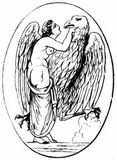 Fig. 136: Hebe