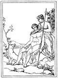 Fig. 6: Adonis