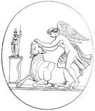 Fig. 296: Victoria