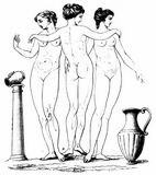 Fig. 131: Grazien