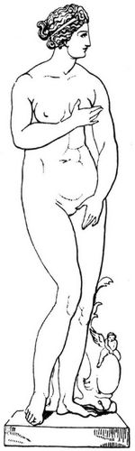 Fig. 290: Venus