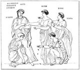 Fig. 199: Latona