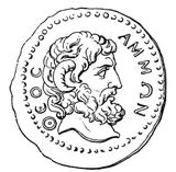 Fig. 19: Ammon
