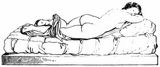 Fig. 158: Hermaphroditus