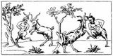 Fig. 114: Faune