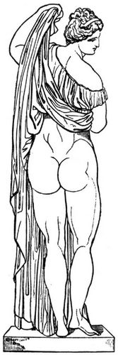 Fig. 292: Venus