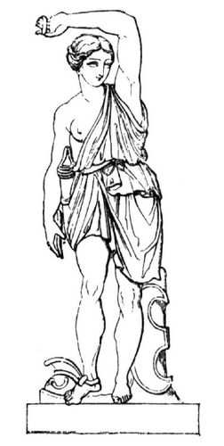 Fig. 16: Amazonen
