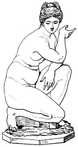 Fig. 294: Venus