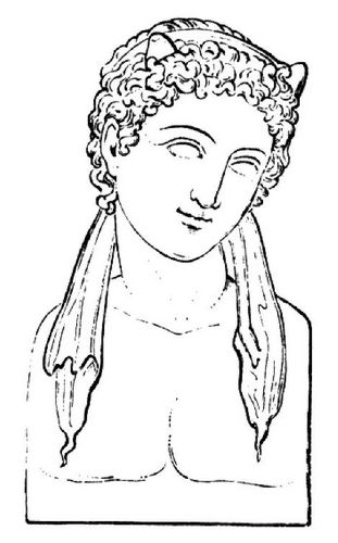 Fig. 48: Bacchus