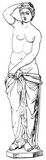 Fig. 291: Venus
