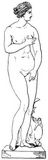 Fig. 290: Venus
