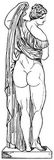 Fig. 292: Venus