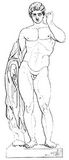 Fig. 219: Mercur